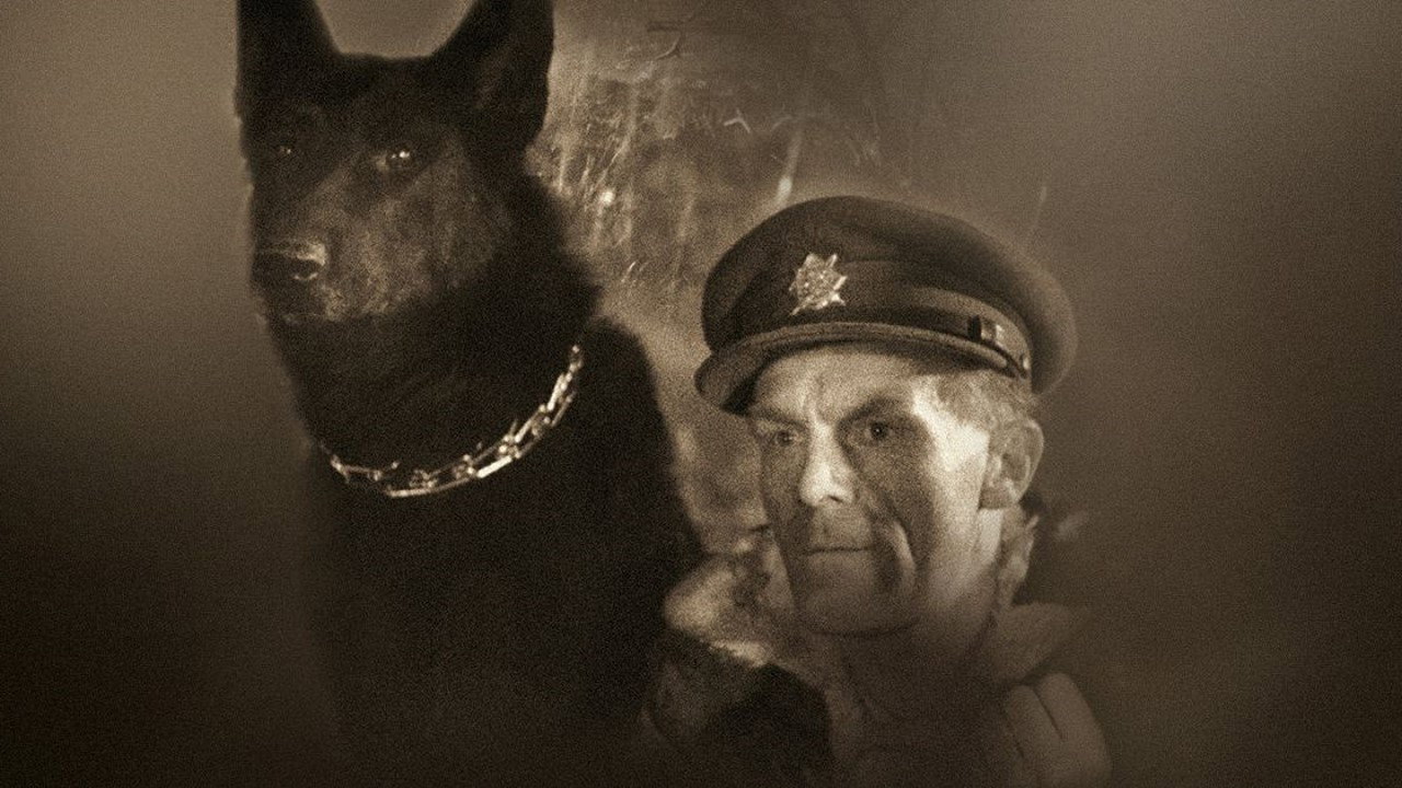 Король Шумавы (фильм, 1959)