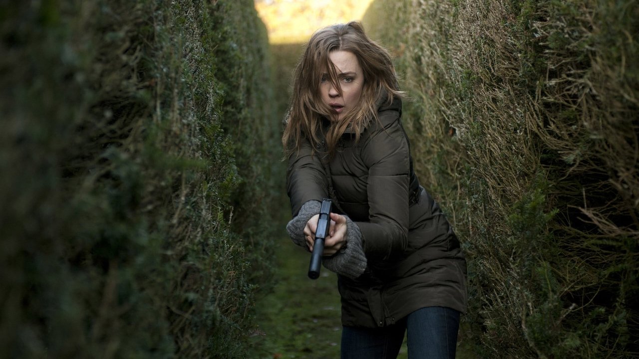 Под прицелом (сериал, 2012)