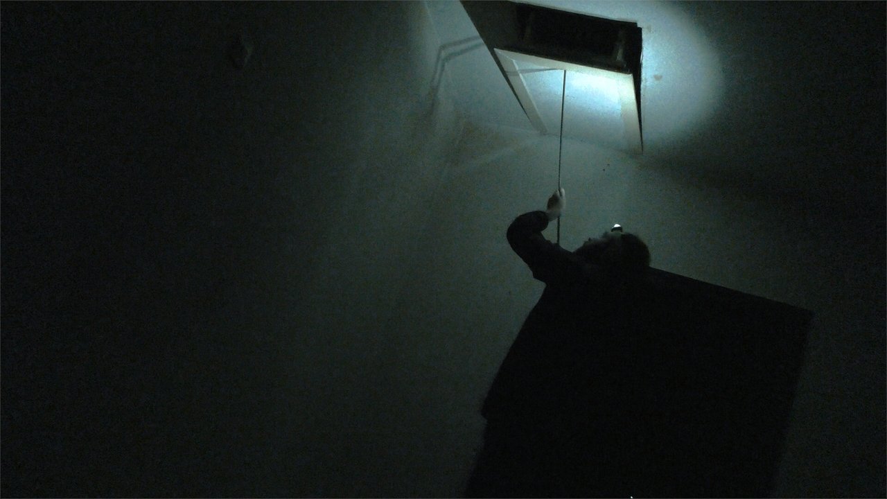 Дневники полтергейста (фильм, 2021)