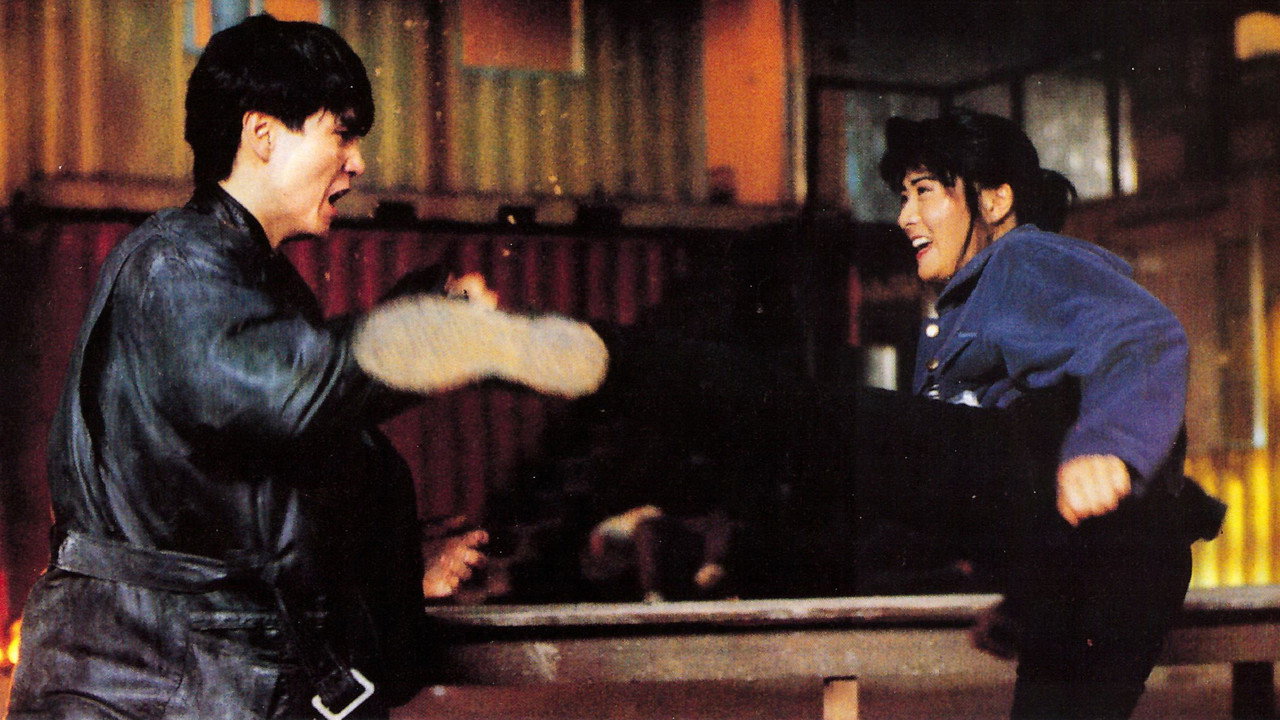 При исполнении 6: Тайный арсенал (фильм, 1991)