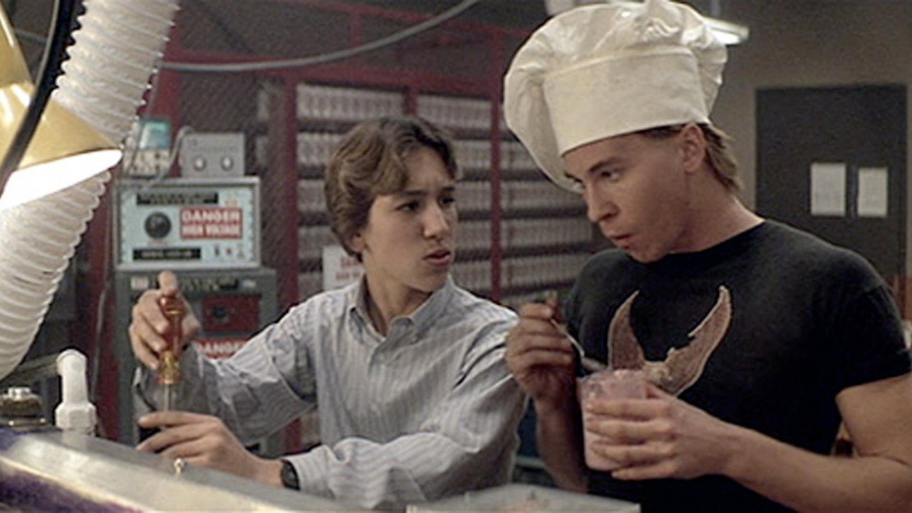 Настоящие гении (фильм, 1985)