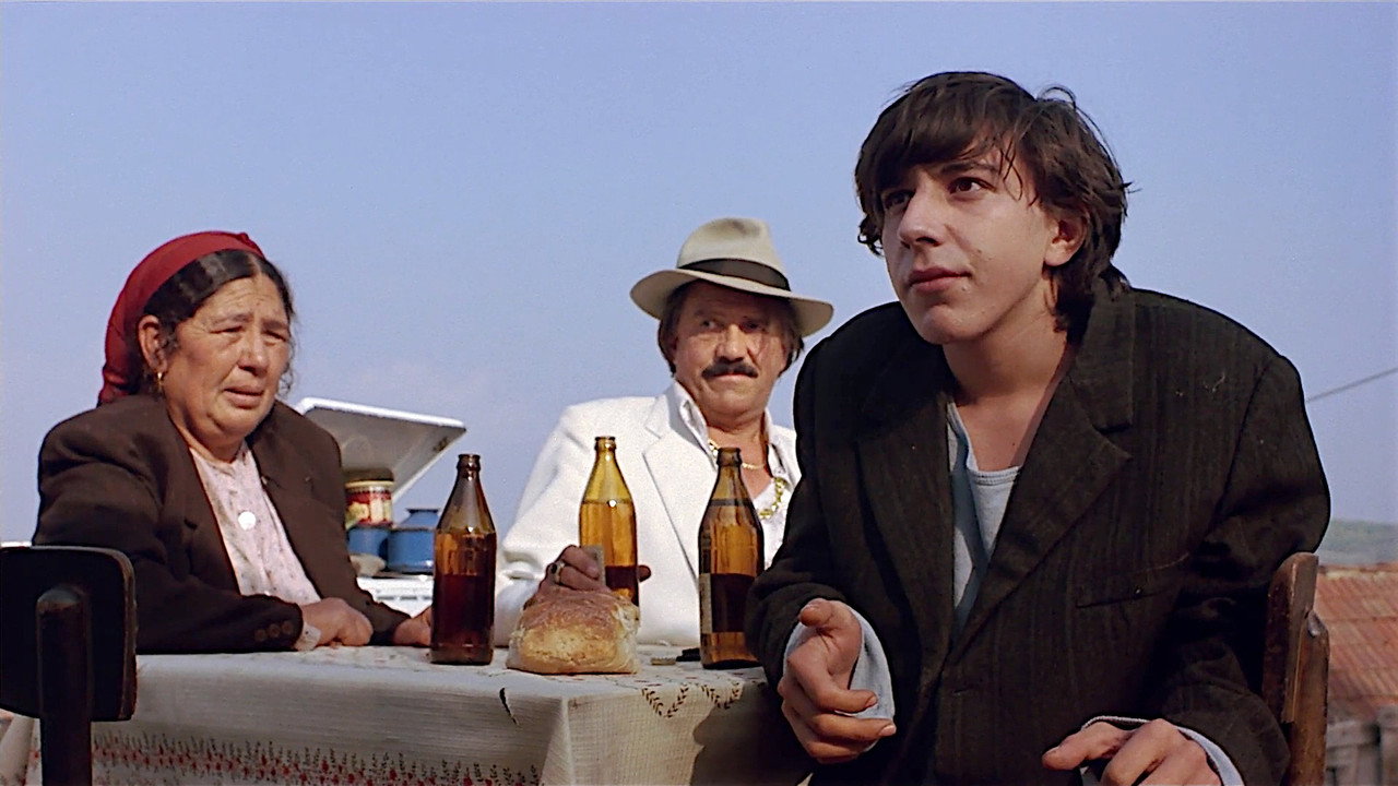 Время цыган (фильм, 1988)