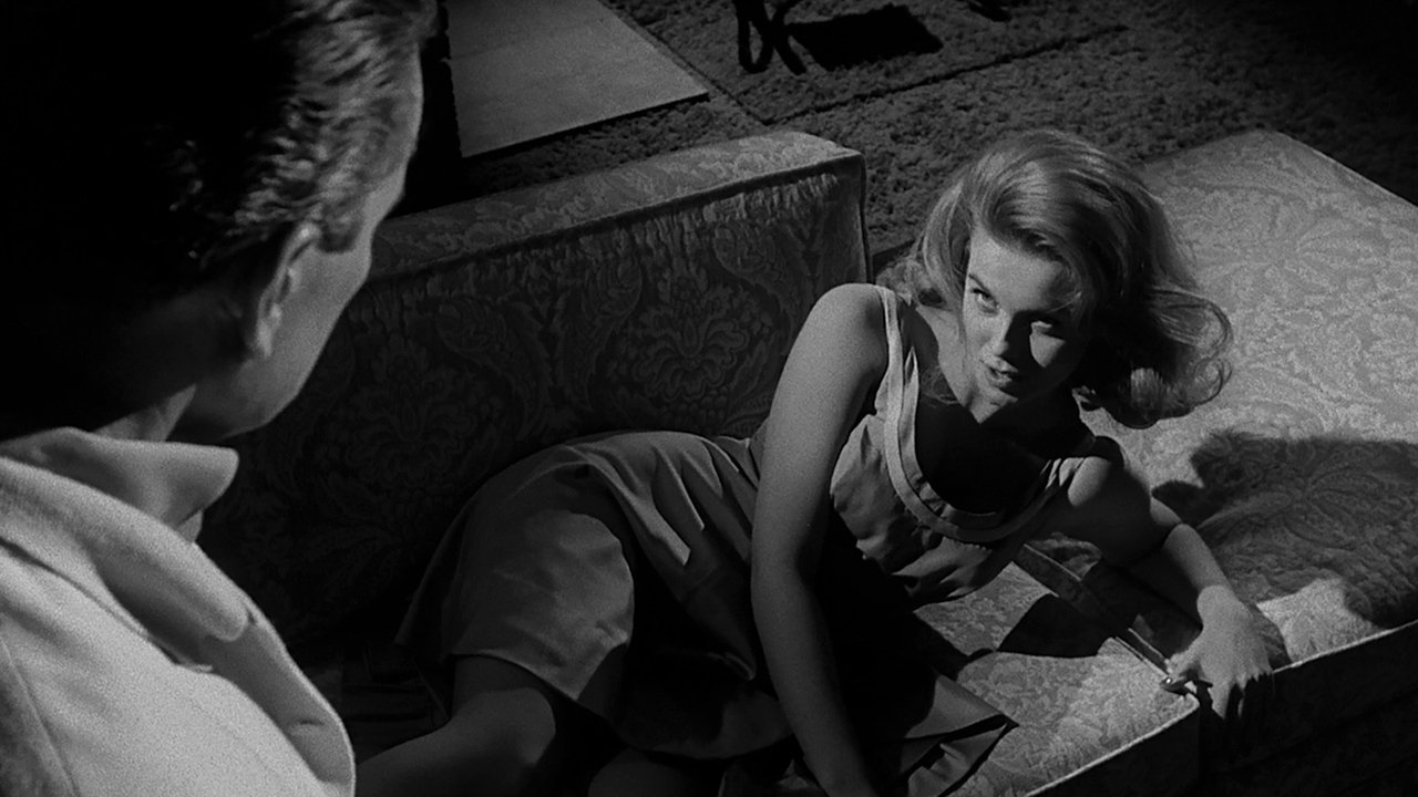 Кошечка с хлыстом (фильм, 1964)