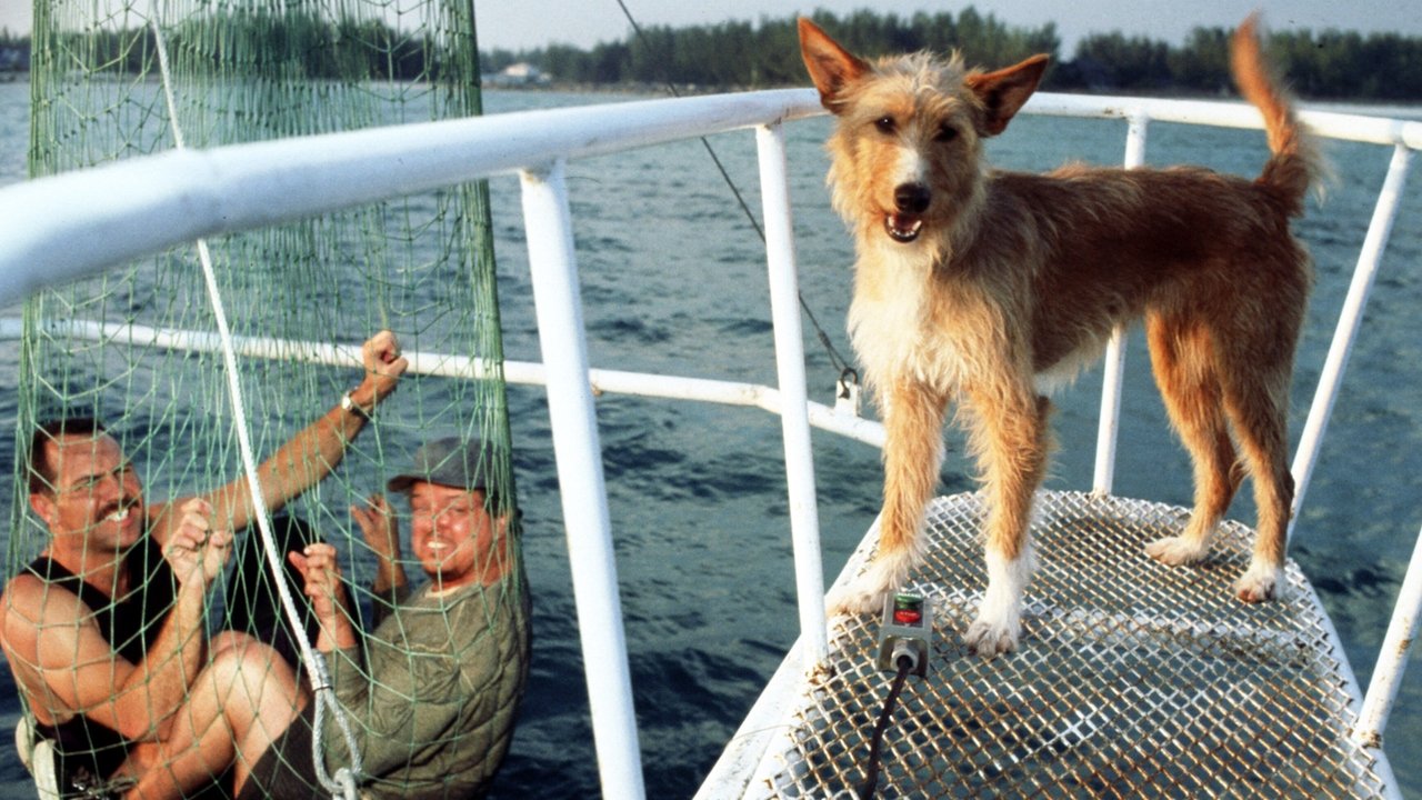 Зевс и Роксана (фильм, 1997)