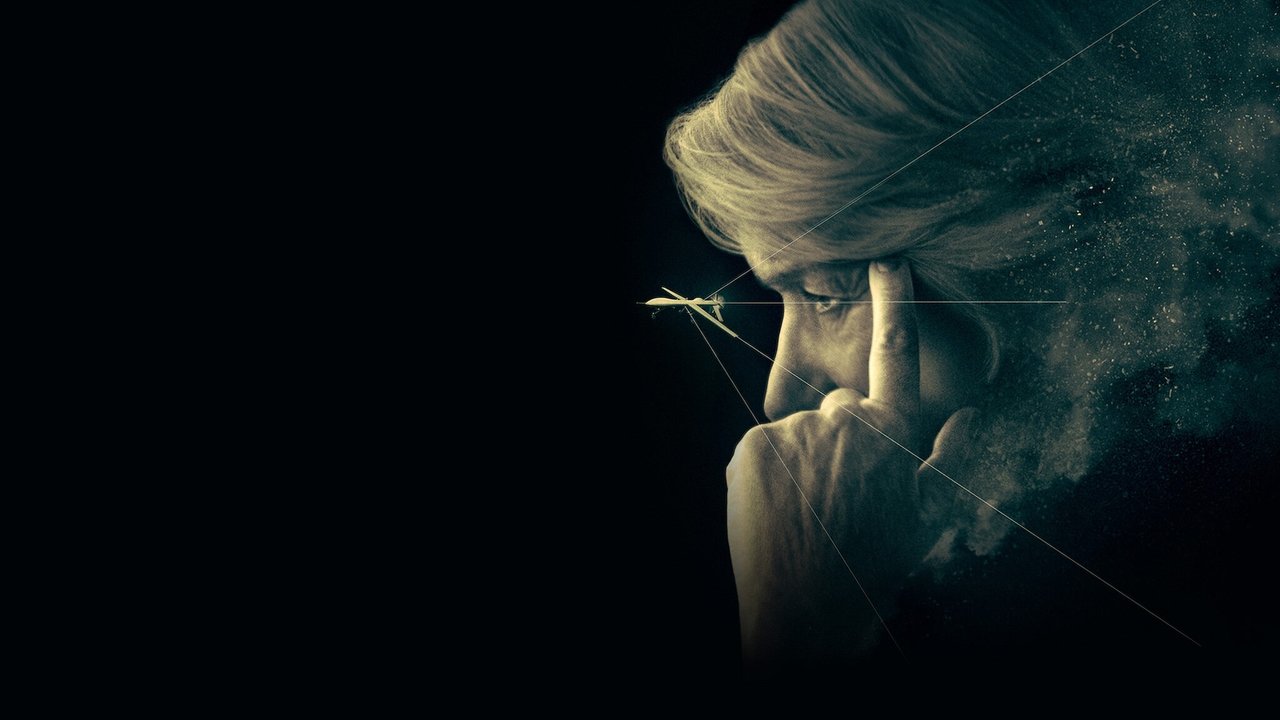 Всевидящее око (фильм, 2015)