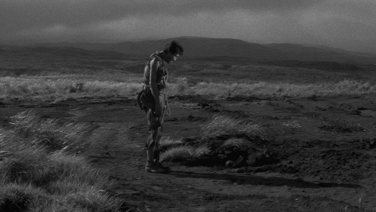 Полевые огни (фильм, 1959)