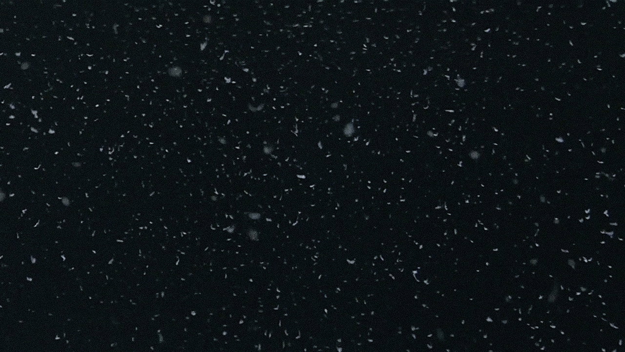 Любовь до смерти (фильм, 1984)