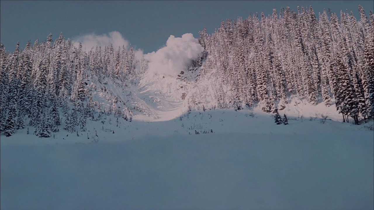 Ледяная дрожь (фильм, 2010)