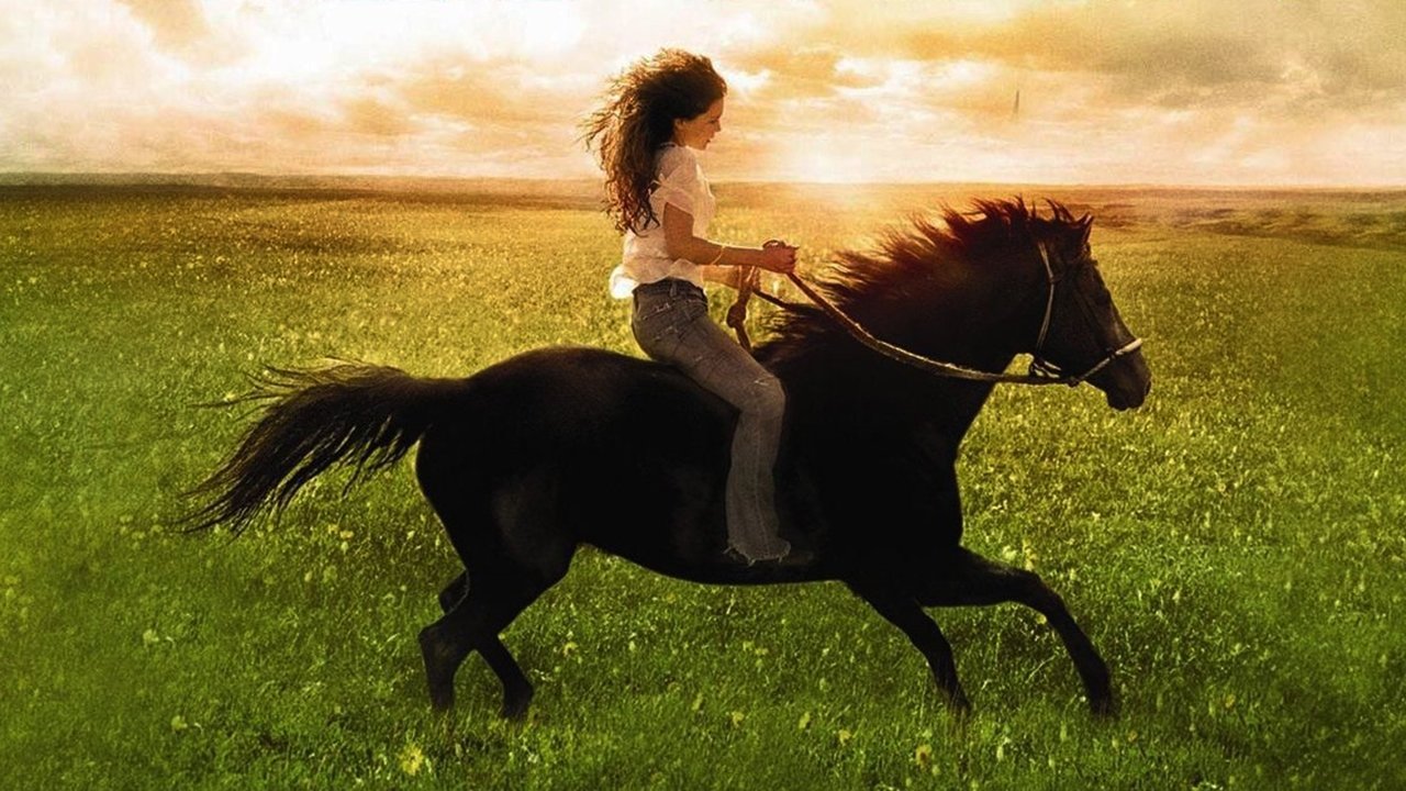 Флика (фильм, 2006)