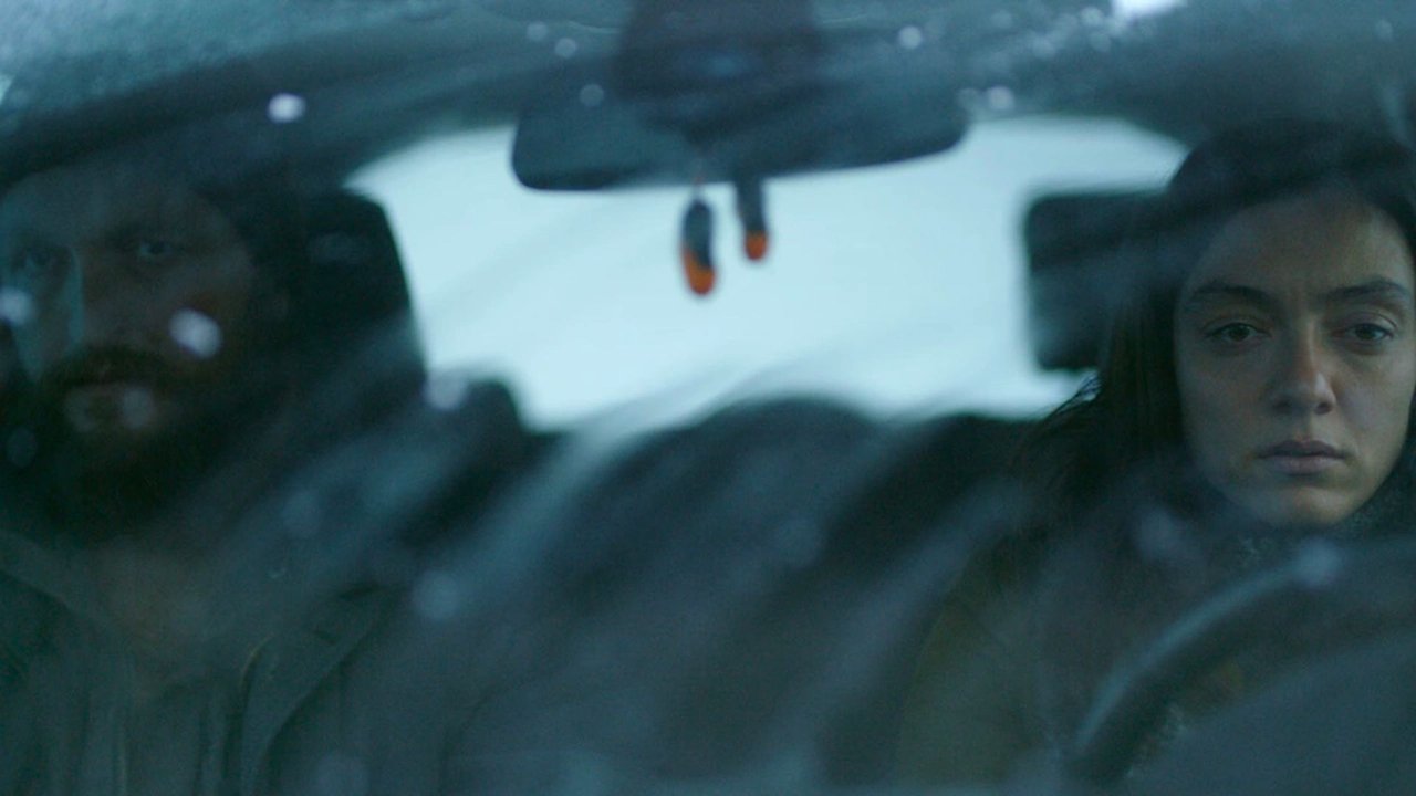 Снег и медведь (фильм, 2022)