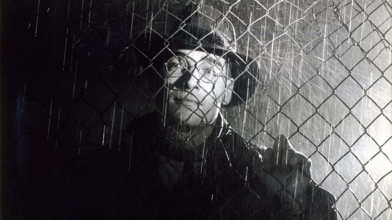 Европа (фильм, 1991)
