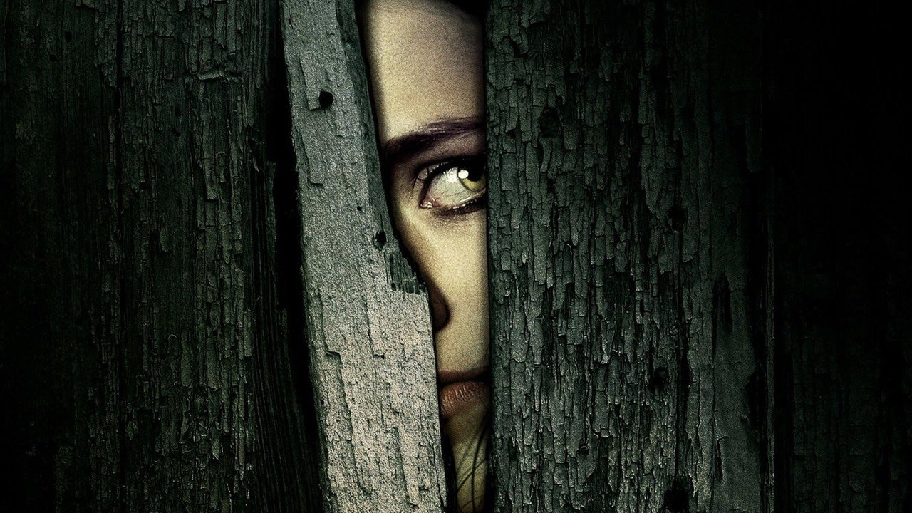 Боль (фильм, 2009)