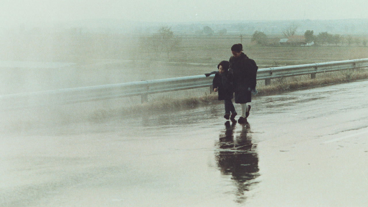 Пейзаж в тумане (фильм, 1988)