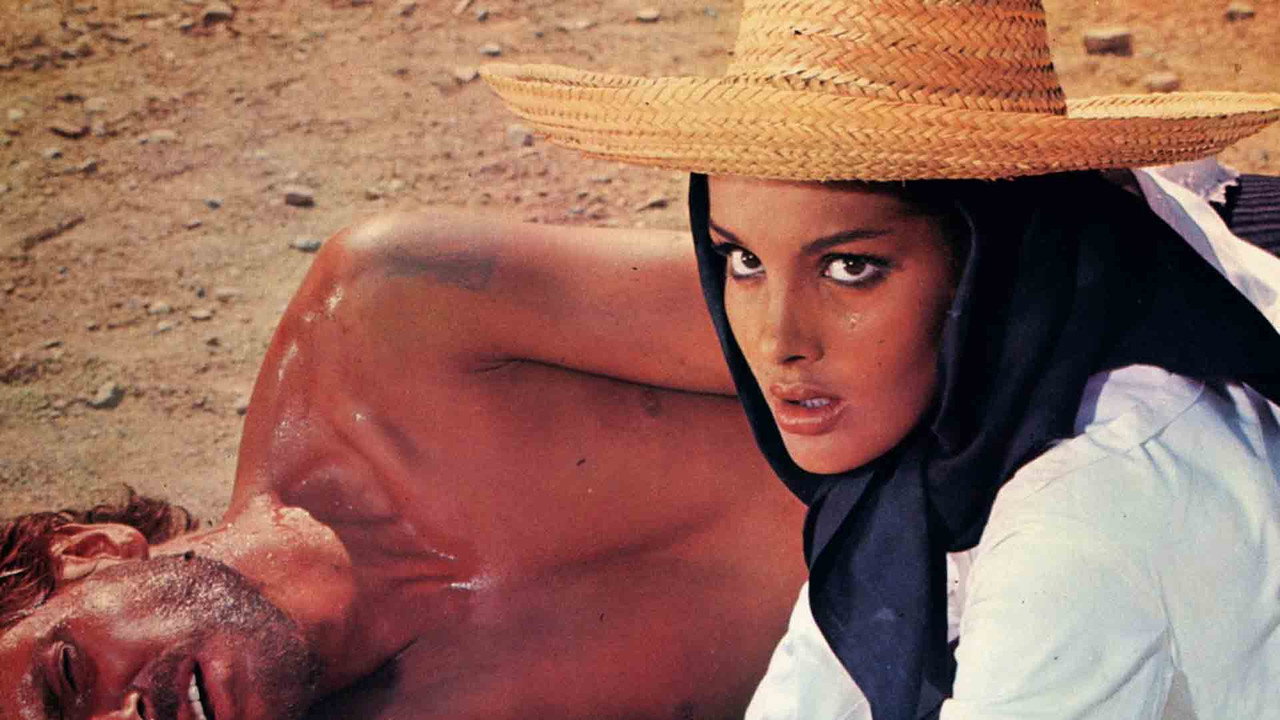 Семь пистолетов МакГрегоров (фильм, 1966)