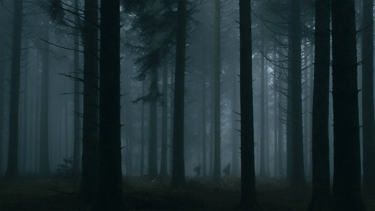 Темное сердце леса (фильм, 2021)