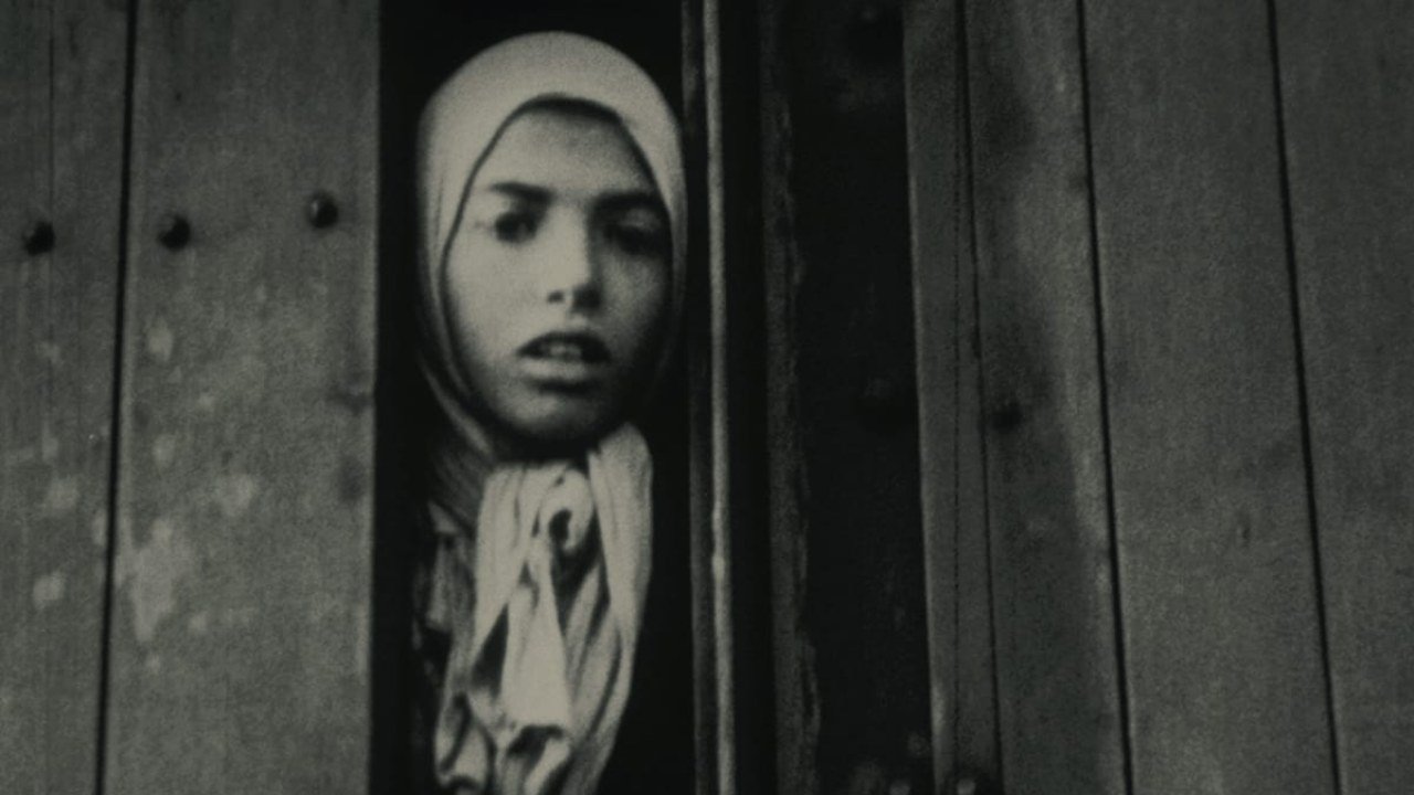 Ночь и туман (фильм, 1956)