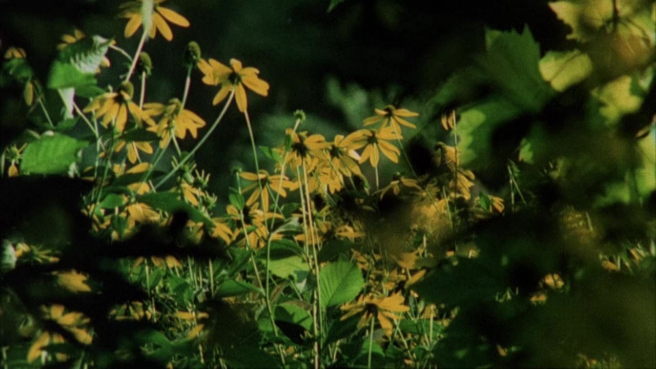 Частные пороки, общественные добродетели (фильм, 1976)