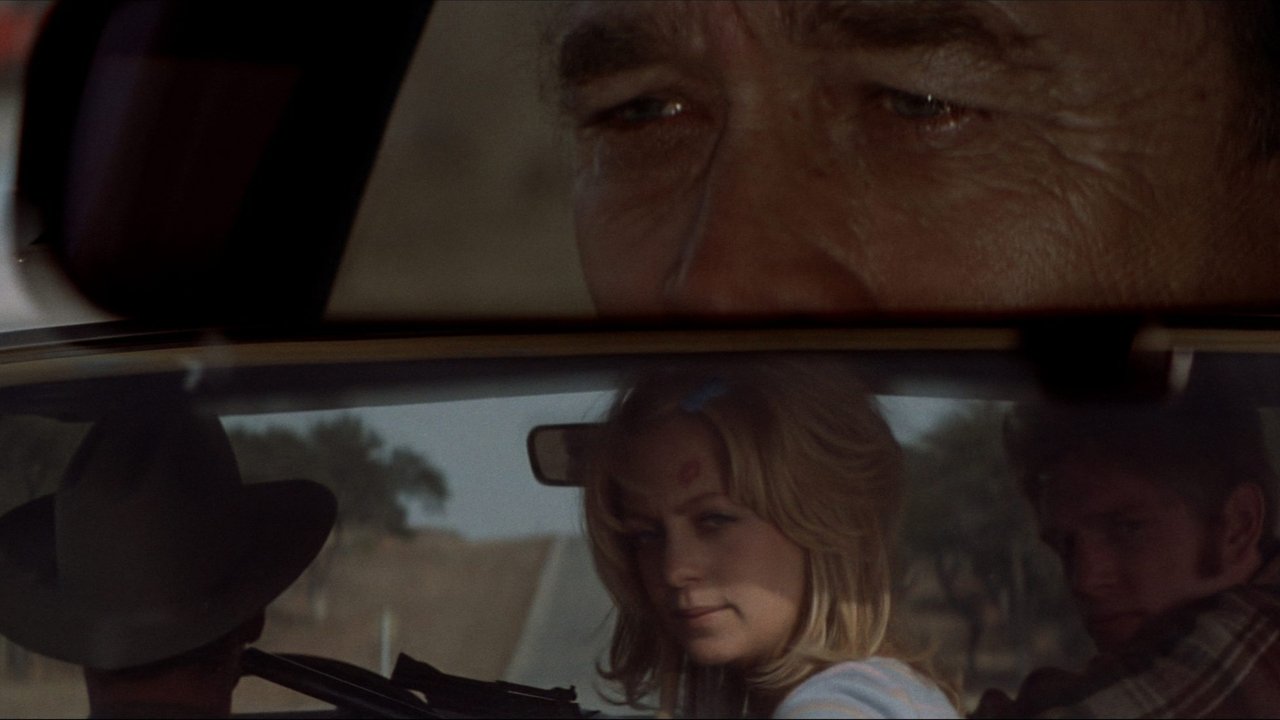 Шугарлендский экспресс (фильм, 1974)