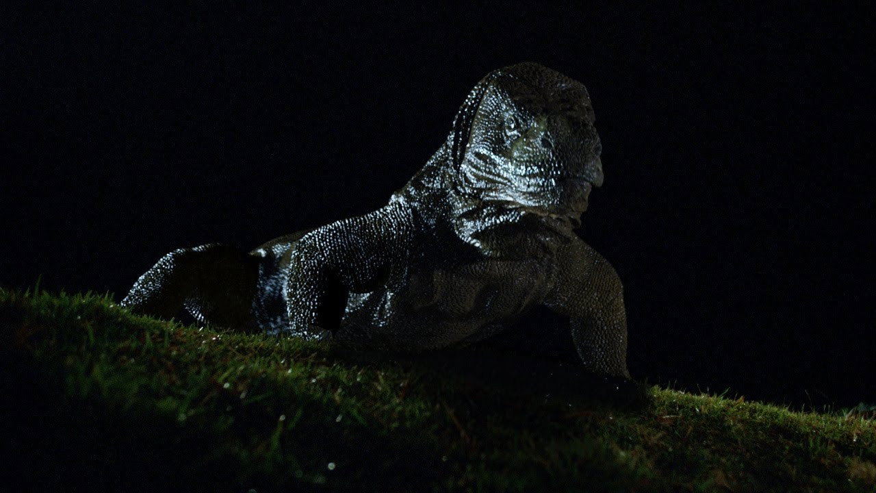 Комодо. Остров ужаса (фильм, 1999)