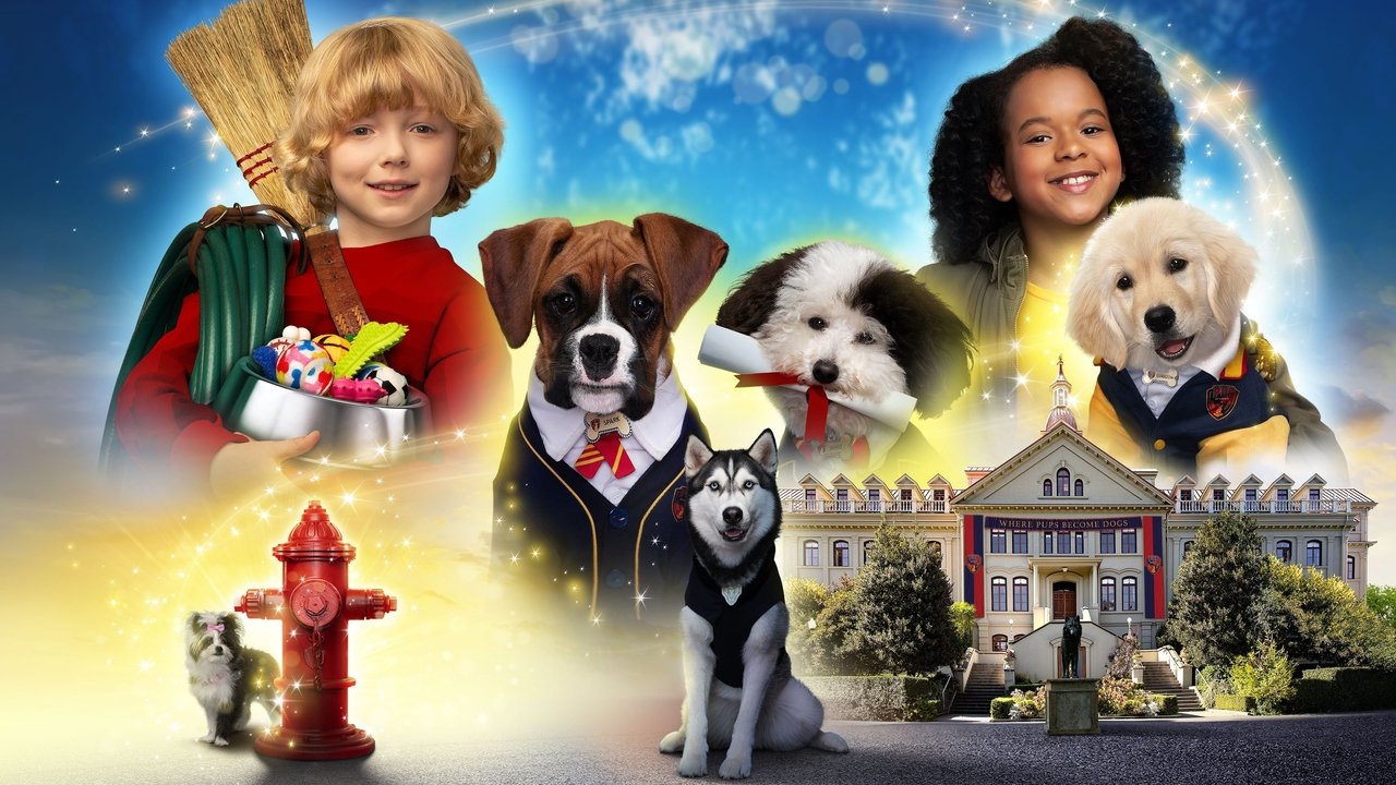 Щенячья академия (сериал, 2019)