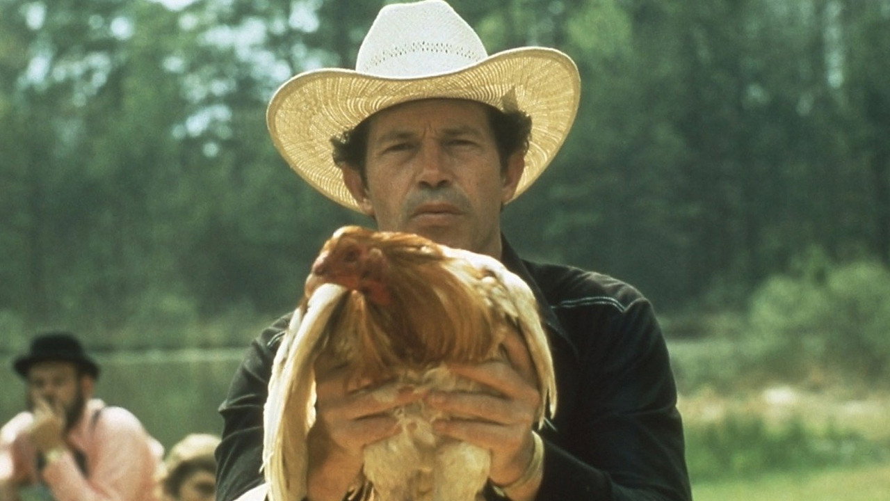 Бойцовский петух (фильм, 1974)