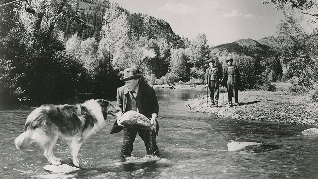 Родные Холмы (фильм, 1948)