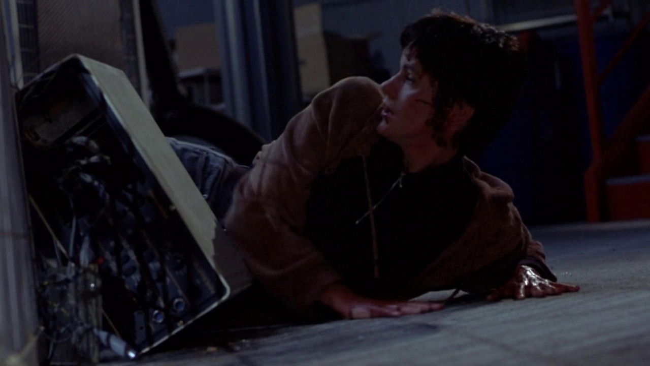 Лучший друг человека (фильм, 1993)