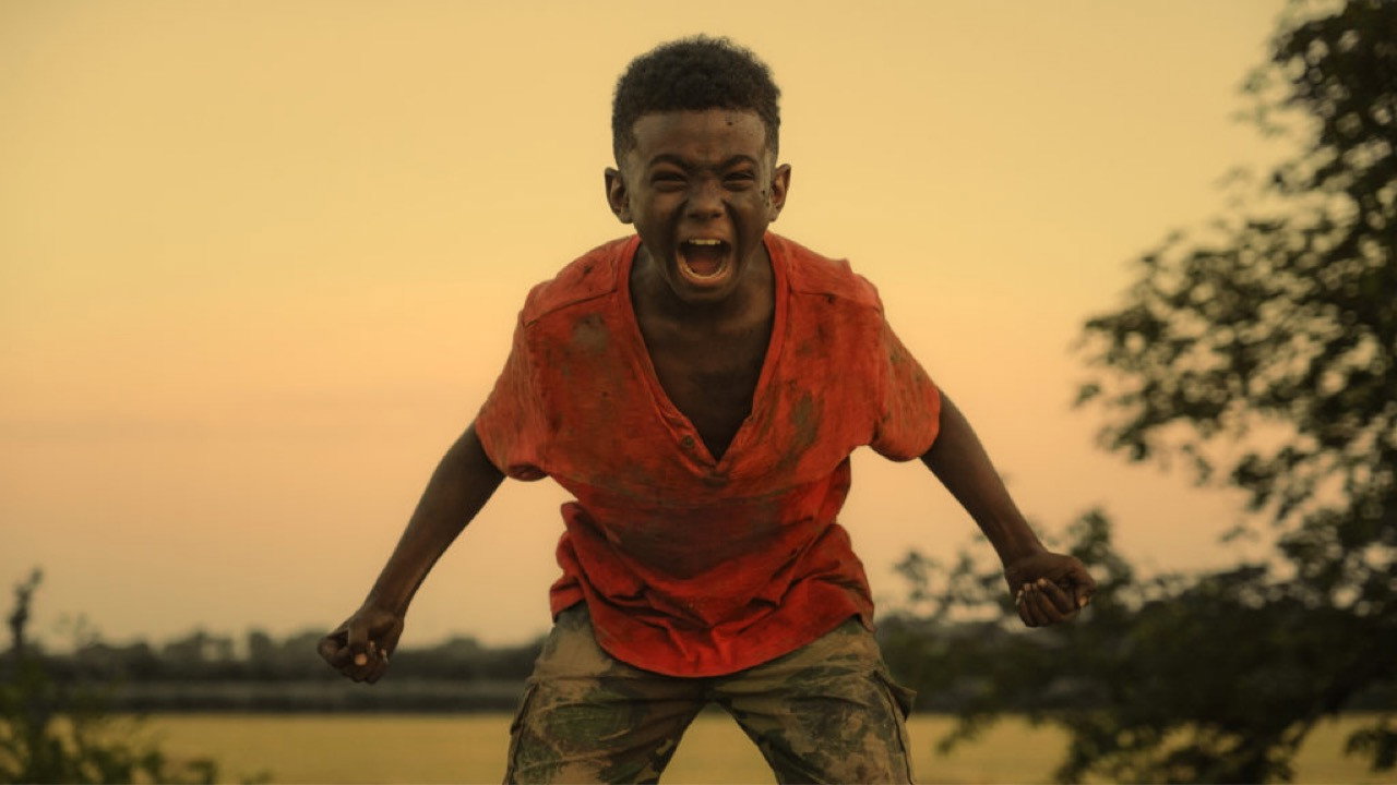 Последнее дерево (фильм, 2019)