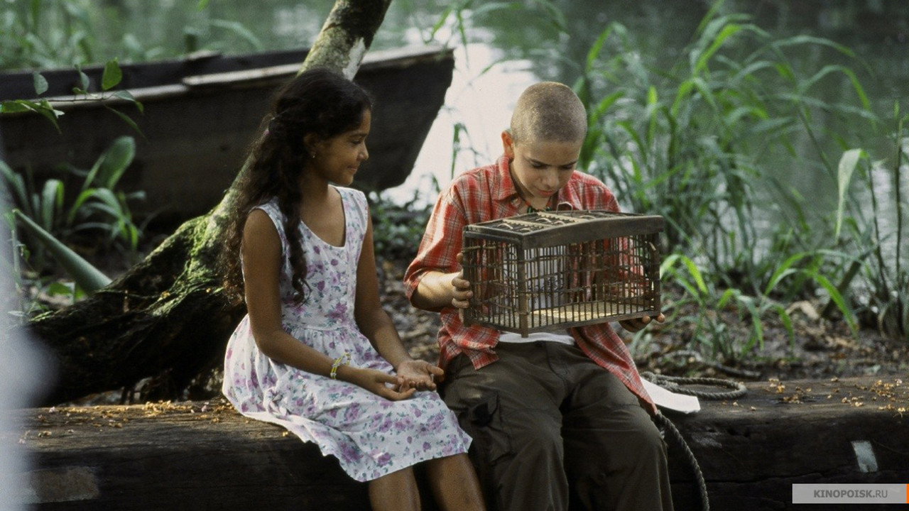 Голубая бабочка (фильм, 2004)