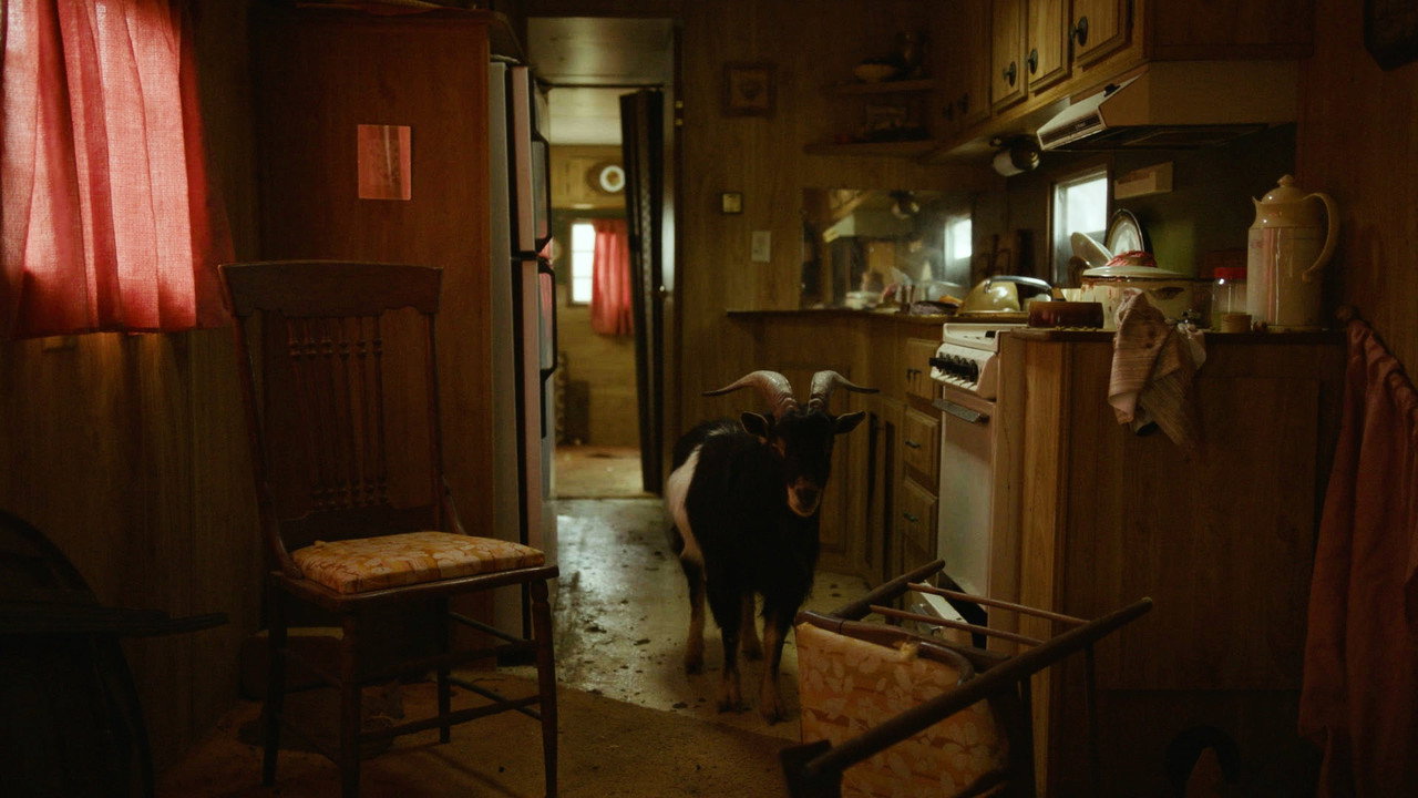 Человеческая спячка (фильм, 2024)