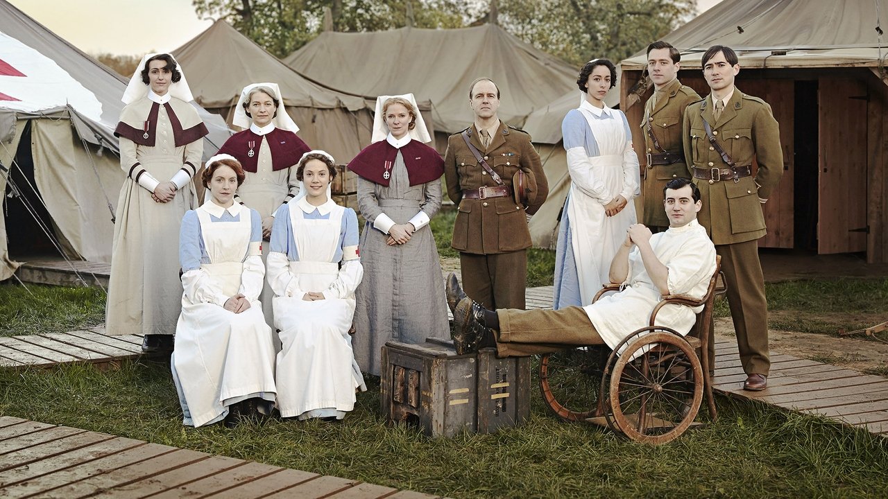 Багряное поле (сериал, 2014)