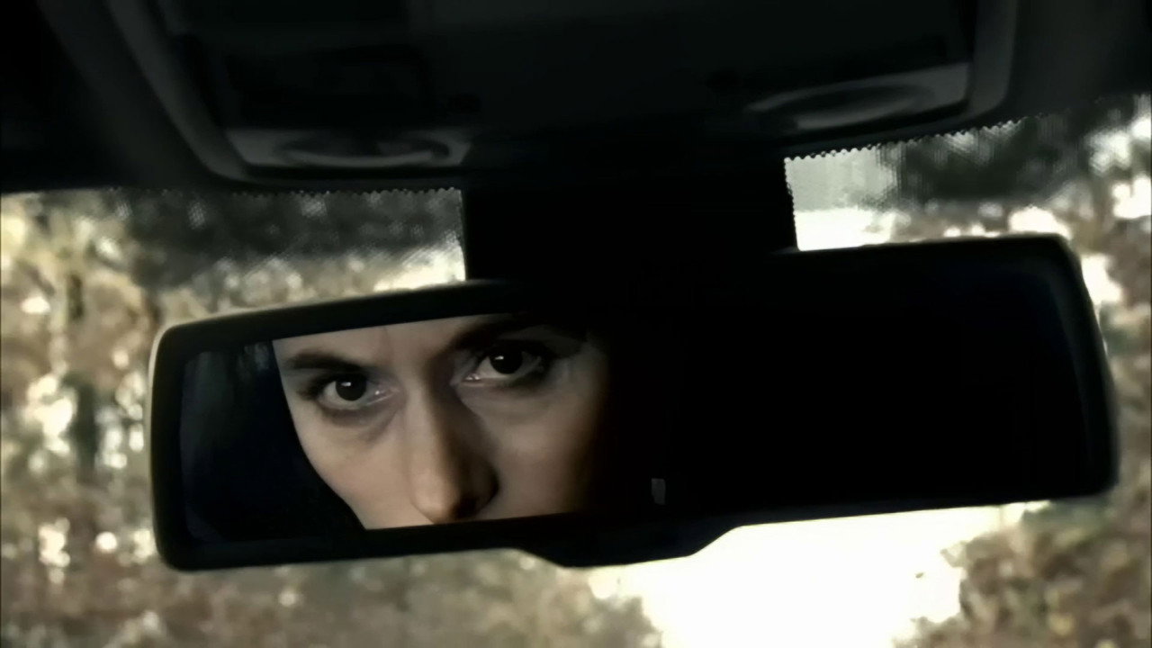 Дама в красном (фильм, 2008)