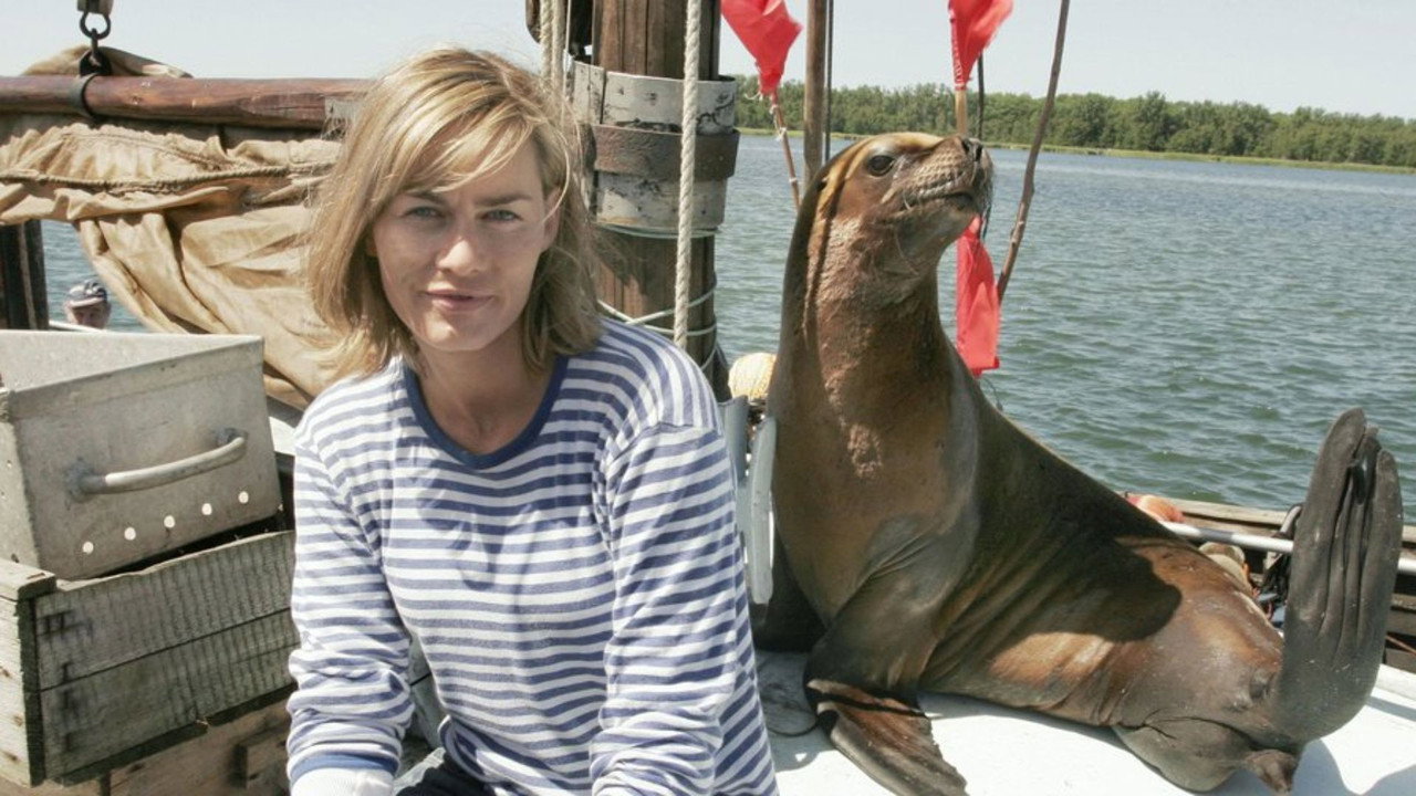 Милый морской котик (фильм, 2006)