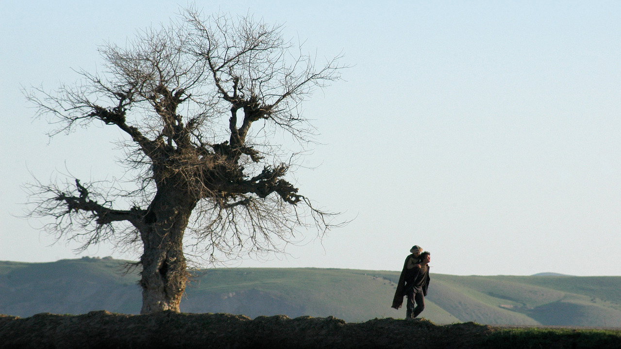 Двуногий конь (фильм, 2008)