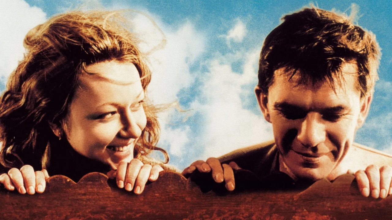 Жизнь как чудо (фильм, 2004)