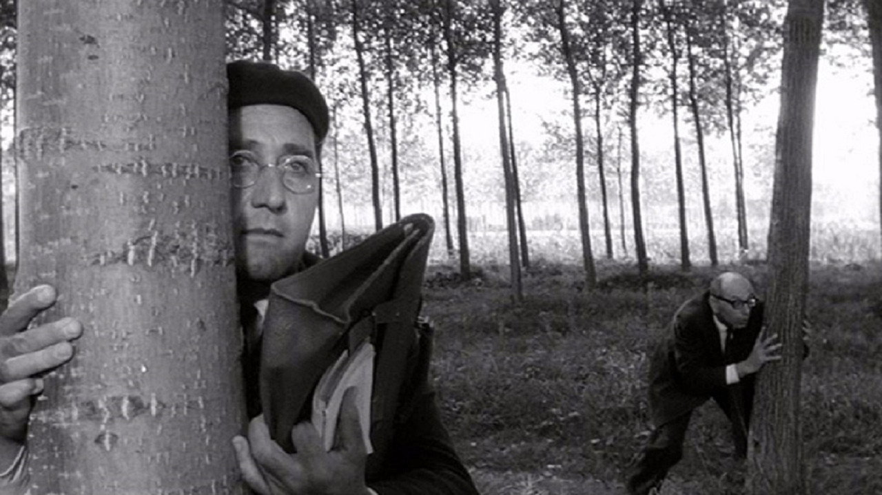 Учитель из Виджевано (фильм, 1963)