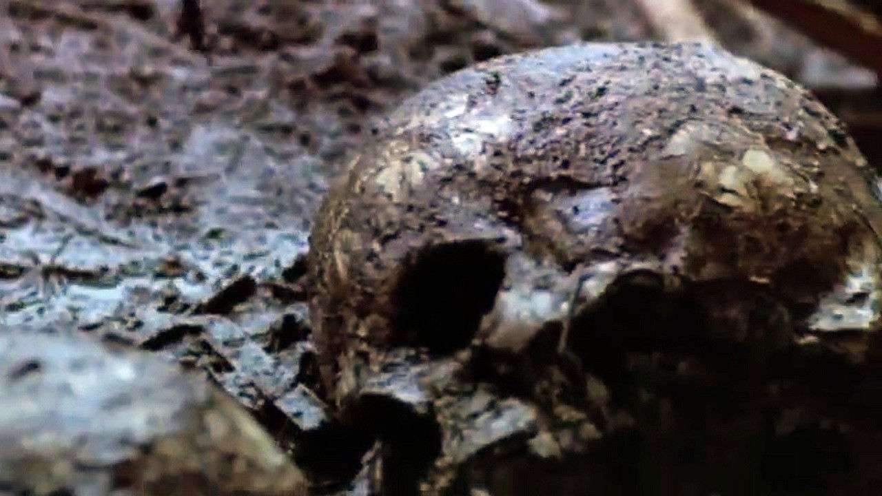 Убийство на реке Грин (фильм, 2004)
