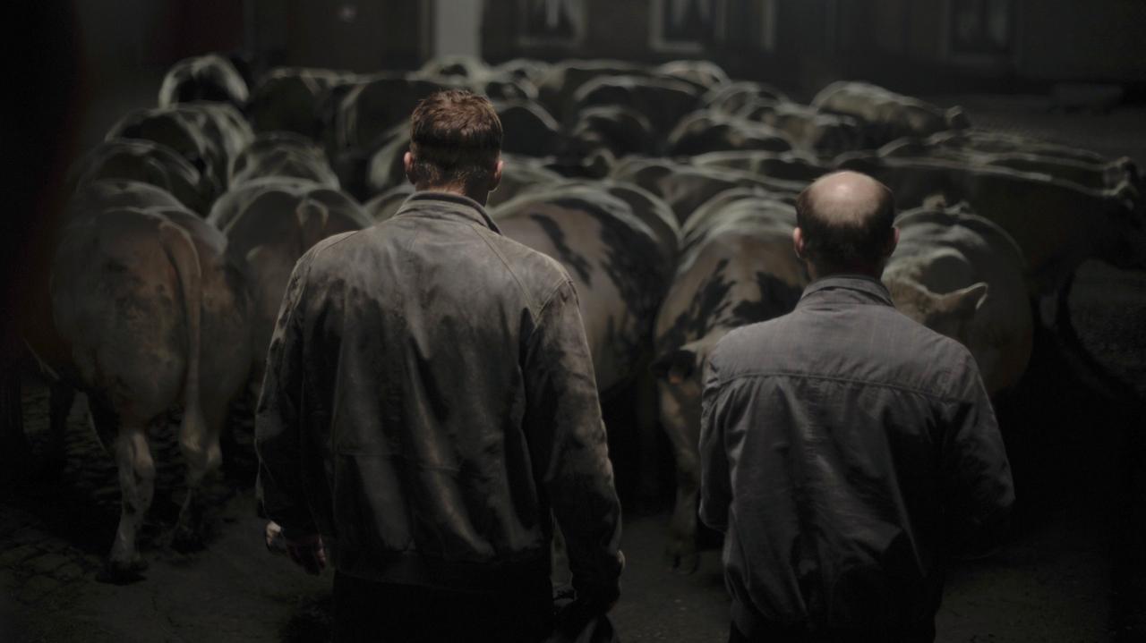 Бычара (фильм, 2011)