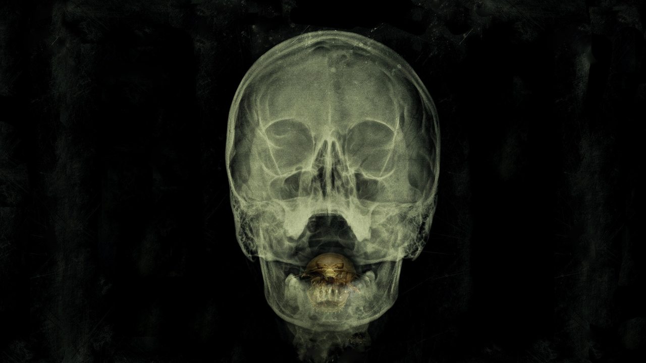 Залив (фильм, 2012)