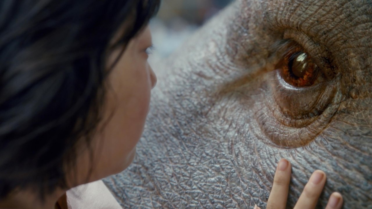 Окча (фильм, 2017)