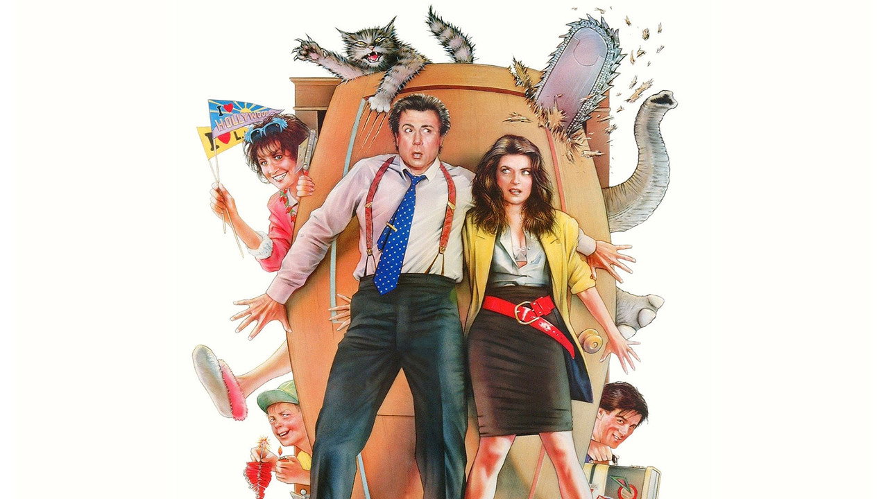 Сумасшедший дом (фильм, 1990)