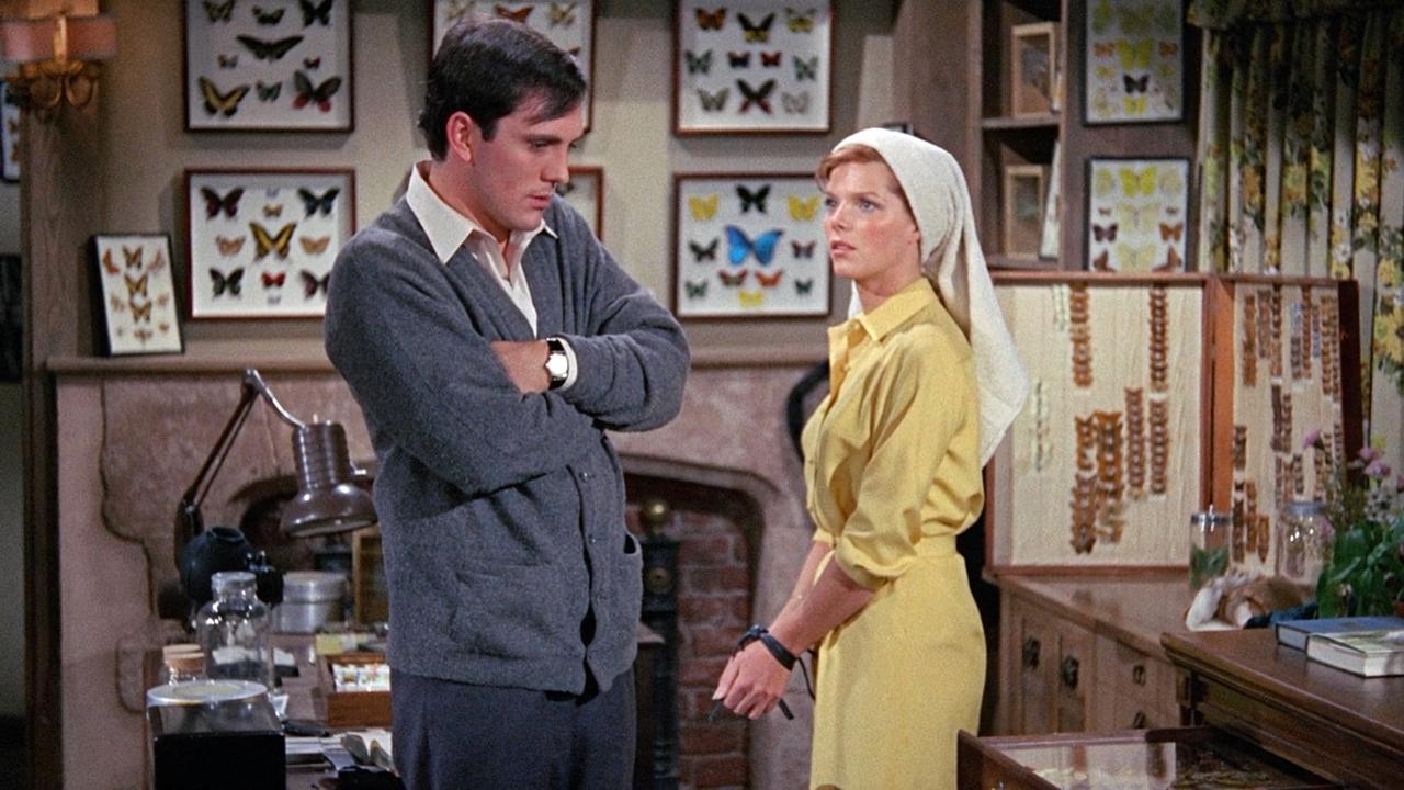 Коллекционер (фильм, 1965)
