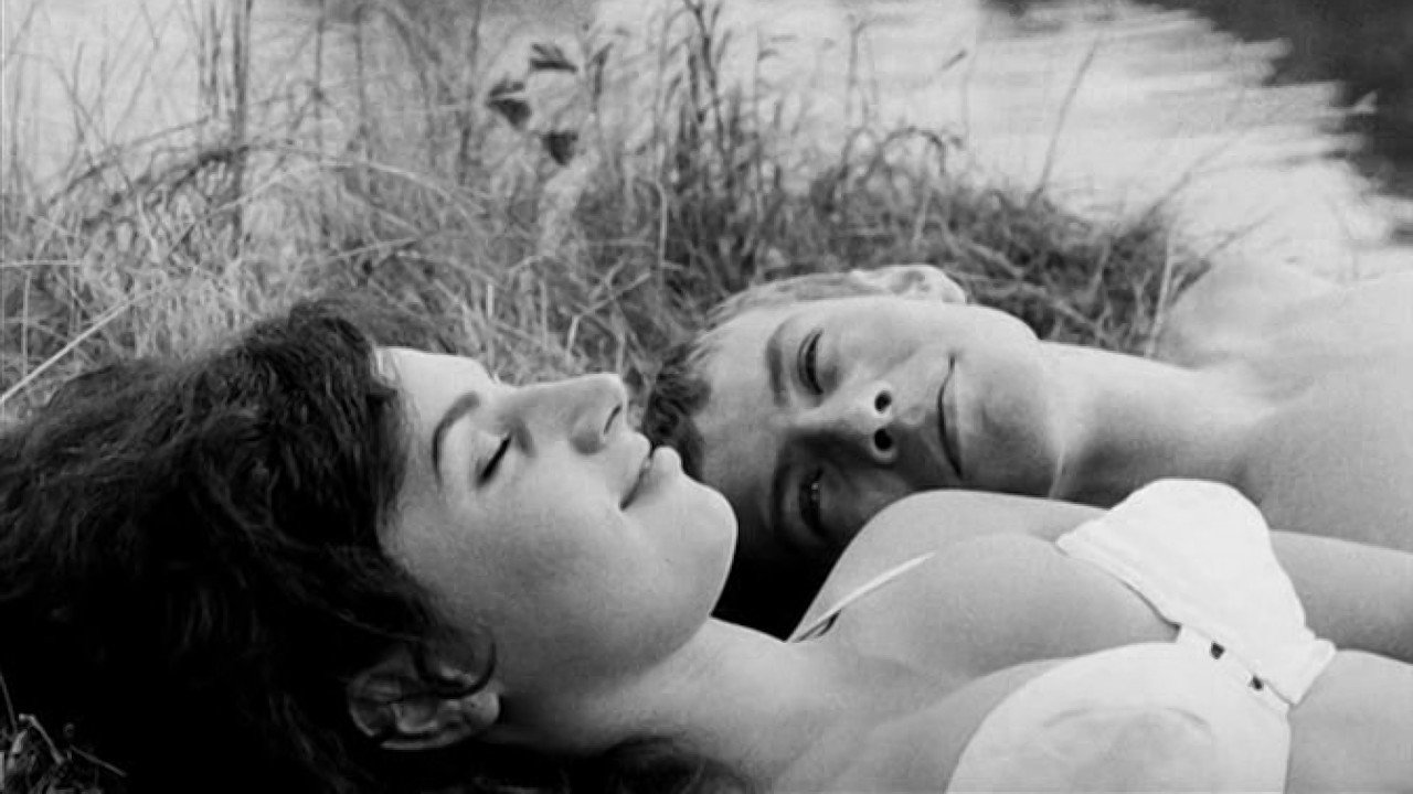 Солнце в сети (фильм, 1963)