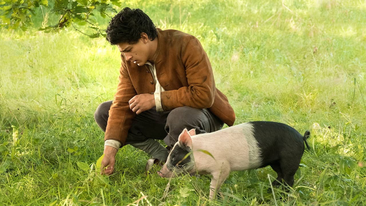 Свинопас (фильм, 2017)