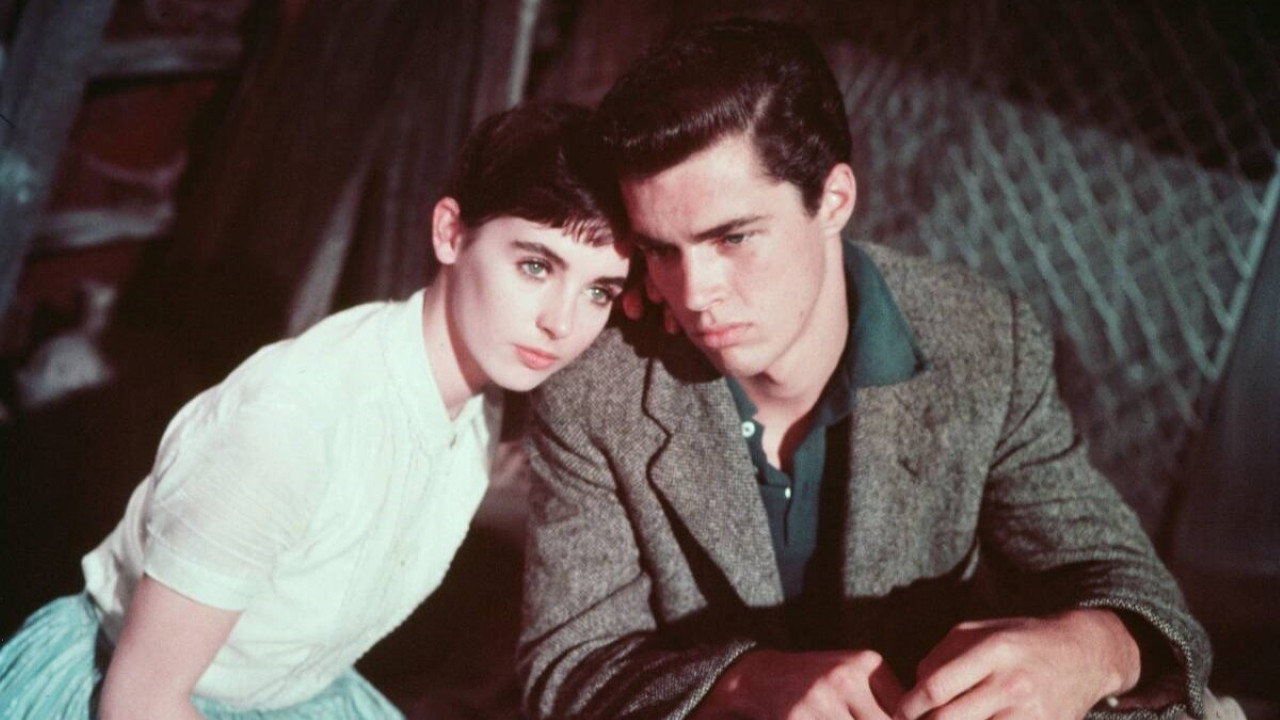 Дневник Анны Франк (фильм, 1959)