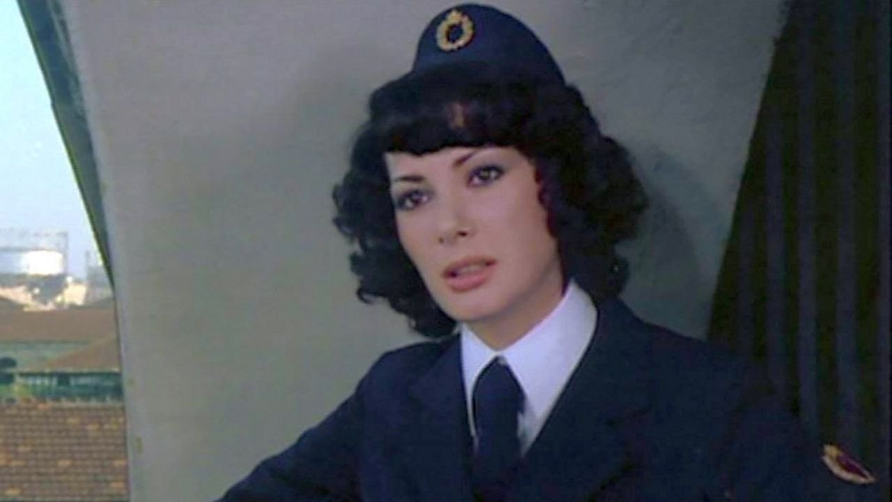 Полицейская делает карьеру (фильм, 1976)