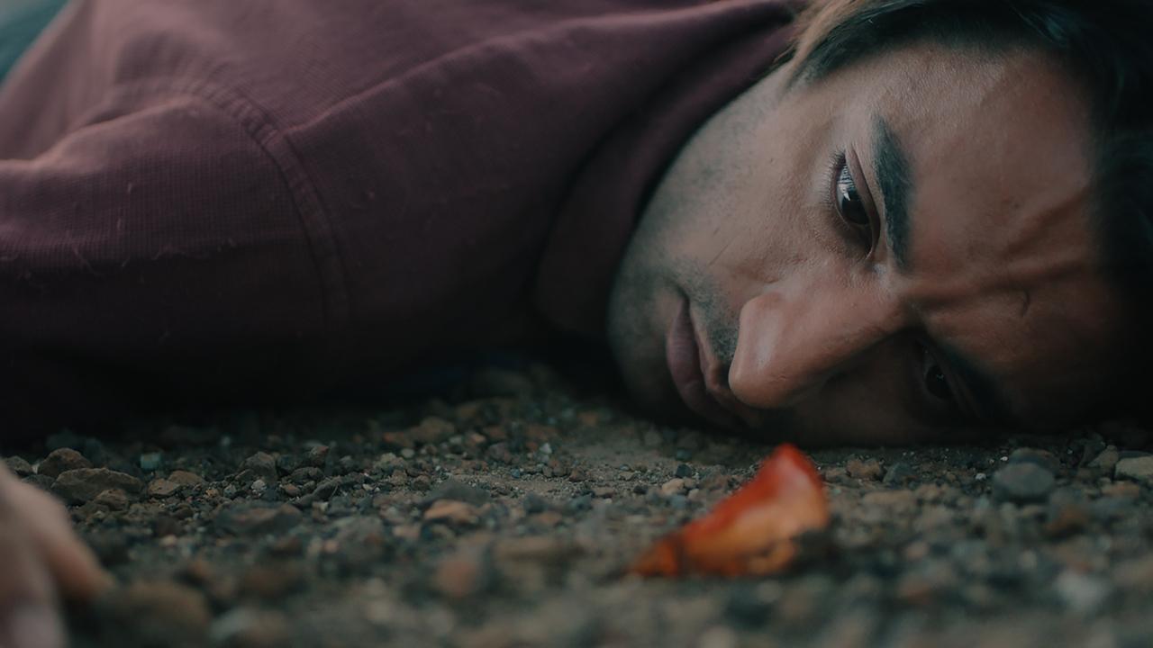 Сон ворона (фильм, 2023)