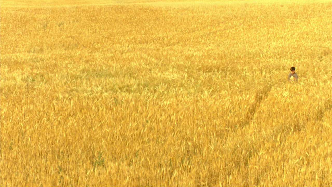 Отражающая кожа (фильм, 1990)