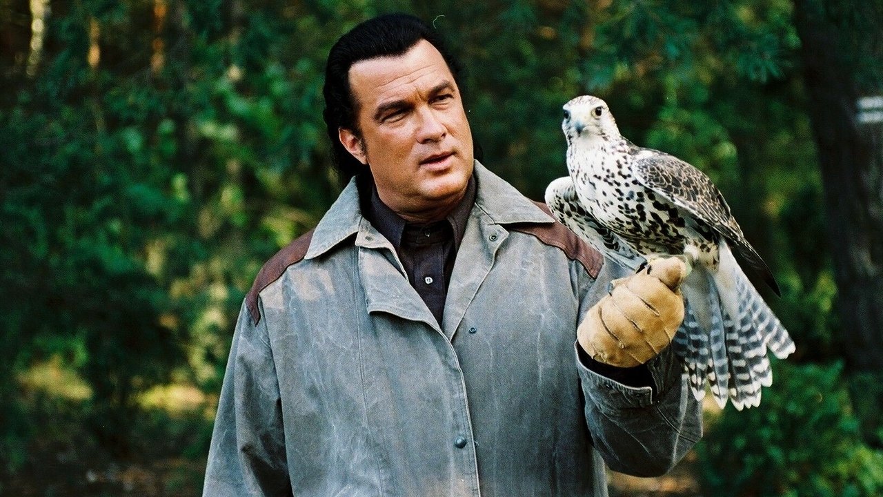 Вне досягаемости (фильм, 2004)