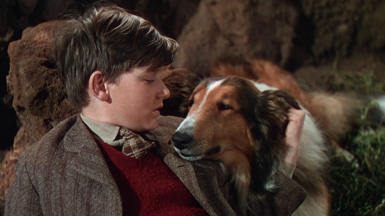 Лесси возвращается домой (фильм, 1943)